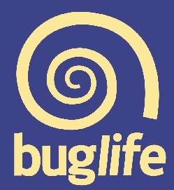 Bug Life logo depicting a gold snail on a purple background